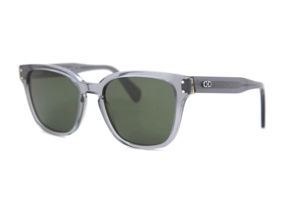 Salvatore Ferragamo SF1040S 020 Transparent Grey/Smoke