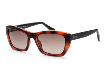 Salvatore Ferragamo SF958S 214 Havana/Grey
