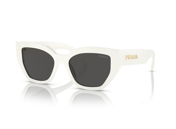 Prada PRA09S 1425S0 Talc/Dark Grey