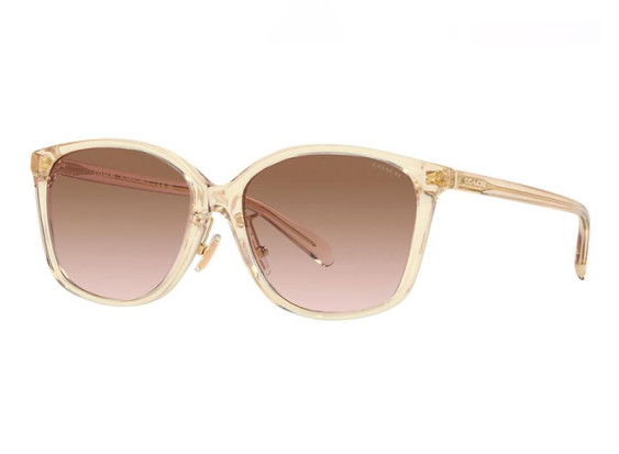 Coach HC8361F 573613 Transparent Beige/Brown Gradient