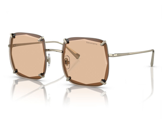 Tiffany & Co. TF3089 602173 Pale Gold/Brown