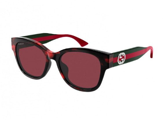 Gucci GG1866SK 003 Shiny Burgundy Havana/Burgundy