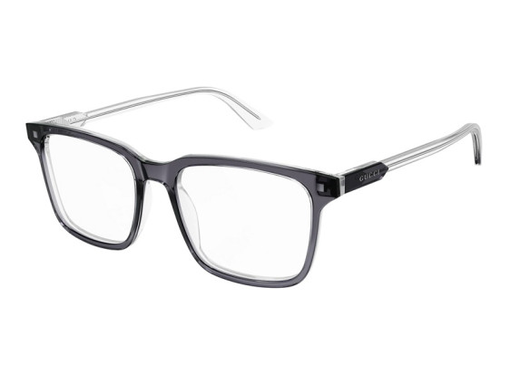 Gucci GG1120O 002 Bilayer Transparent Grey/Light Grey 55mm