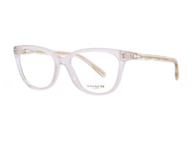 Coach HC6186 5111 Crystal 51mm