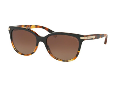 Coach HC8132 5438T5 Black Tortoise Gradient/Brown Gradient Polarized