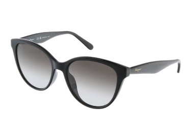 Salvatore Ferragamo SF1073S 001 Black/Grey Gradient