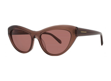 Salvatore Ferragamo SF1103S 232 Transparent Brown/Brown
