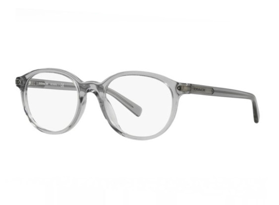 Coach HC6167U 5176 Transparent Grey 51mm