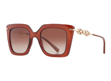 Salvatore Ferragamo SF1041S 232 Transparent Brown/Rose Brown Gradient