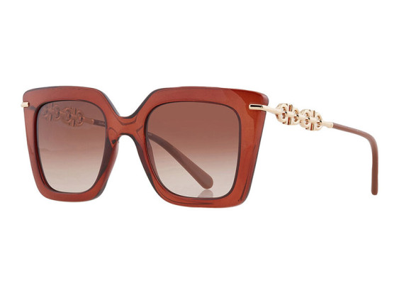 Salvatore Ferragamo SF1041S 232 Transparent Brown/Rose Brown Gradient