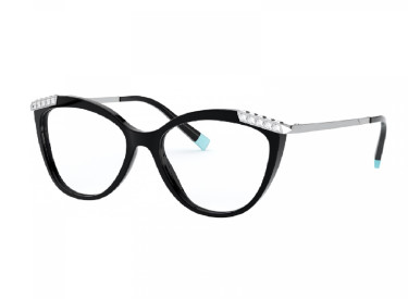 Tiffany & Co. TF2198B 8001 Black 53mm