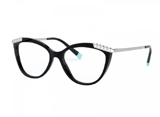 Tiffany & Co. TF2198B 8001 Black 53mm
