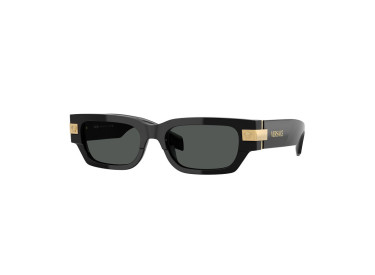 Versace VE4465 GB1/87 Black/Dark Grey