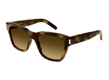 Saint Laurent SL560 003 Havana/Brown
