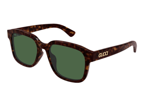 Gucci GG1798SA 002 Dark Havana/Green