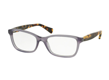 Polo Ralph Lauren RA7062 1374 Transparent Violet/Havana 51mm