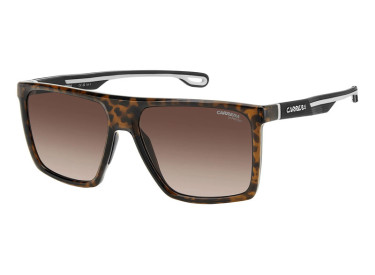 Carrera CARRERA 4019/S 0086 HA Havana/Brown Gradient