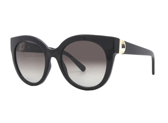 Salvatore Ferragamo SF1031S 001 Black/Grey Gradient