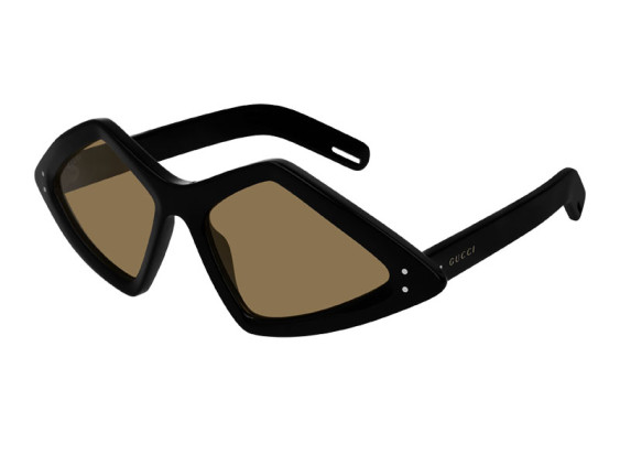 Gucci GG0496S 001 Shiny Black/Brown