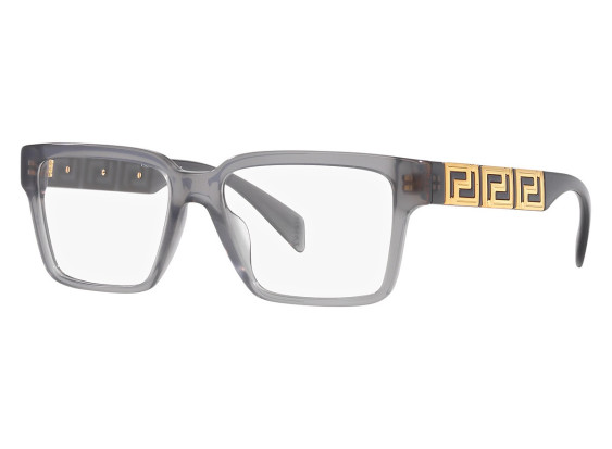 Versace VE3339U 5406 Opal Grey 55mm