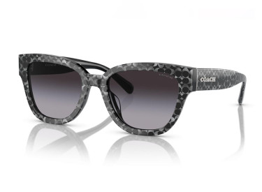 Coach HC8379F 55208G Grey Pearl Signature C/Grey Gradient