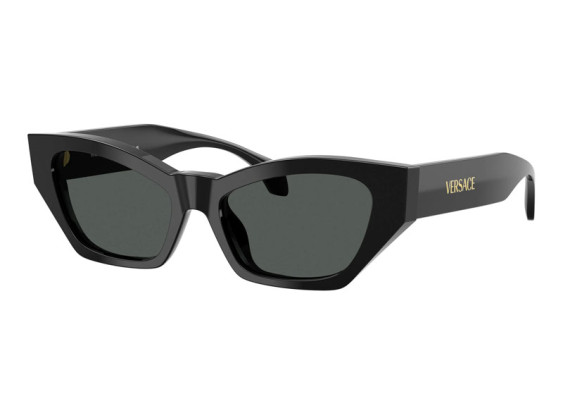 Versace VE4488U GB1/87 Shiny Black/Dark Grey