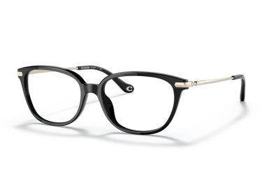 Coach HC6185 5002 Black 54mm