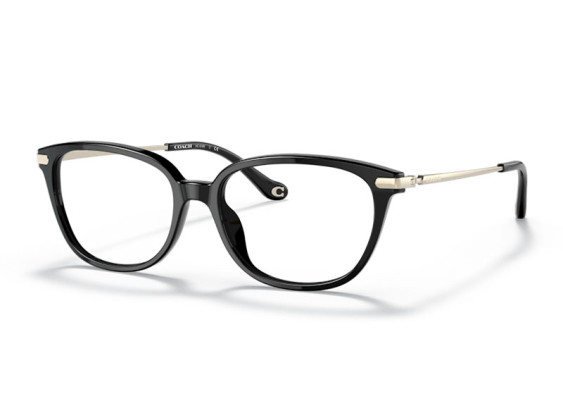 Coach HC6185 5002 Black 54mm