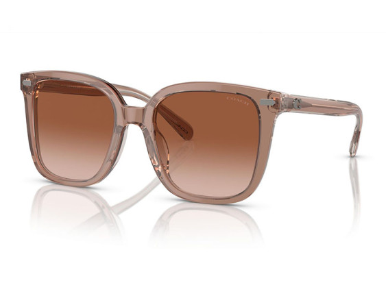 Coach HC8381U 577913 Brown/Brown Gradient