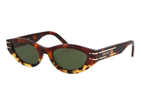 Dior DIORSIGNATURE B5I 24C0 Shiny Honey Havana/Green