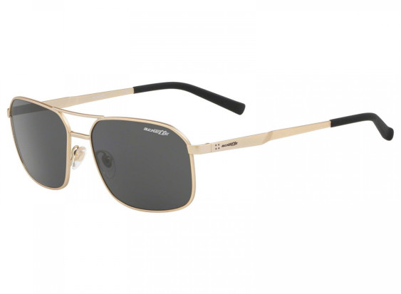 Arnette AN3079 713/87 Gold/Grey