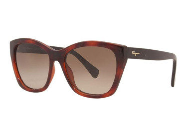 Salvatore Ferragamo SF957S 214 Havana/Brown Gradient