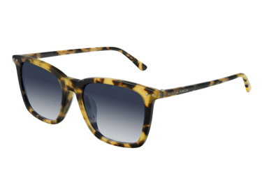 Bottega Veneta BV0251SA 005 Havana/Blue Gradient