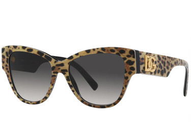 Dolce & Gabbana DG4449 31638G Leopard Brown On Black/Grey Gradient